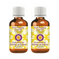 Deve Herbes Pure Papaya Seed Oil (Carica Papaya) Cold Pressed (Pack of Two) 100ml X 2 (6.76 oz)