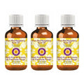dève herbes Pure Red Raspberry Seed Oil (Rubus idaeus) Cold Pressed (Pack of Three) 100ml X 3 (10 oz)