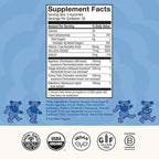 Host Defense Beary Well Grateful Dead Gummies - Mushroom Gummies with Agarikon, Turkey Tail, Chaga, Elderberry, Vitamin C & Zinc - Upper Respiratory System Health and Immune Support (30 Servings)