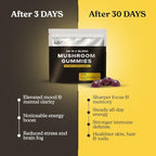16 in 1 Blend Mushrooms Gummies for Adults - Lion's Mane Mushroom Supplement, Focus Gummies with Lions Mane, Lion's Mane for Adults, Natural Mushroom Supplement for Cognitive Support & Clarity