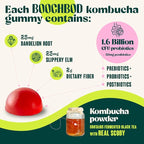 Probiotic Kombucha Gummy - Prebiotics, Probiotics, Postbiotics, Fiber Supplement, Slippery Elm, Dandelion Root, MCT Oil, for Bloating, Gut Health - Probiotics for Women and Men