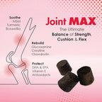 TS Joint Supplement Vet Formulated Pain & Inflammation Relief Treats Hip Dysplasia & Arthritis.Glucosamine, Chondroitin, Turmeric, MSM, HA, Creatine, Omega 3 EPA+DHA. All Dogs 240 Soft Chews