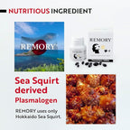 REMORY Plasmalogen Sea Squirt Supplement - Brain Health Supplement - 30 Days Supply