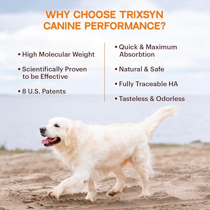 TRIXSYN Canine Performance - Dog Hip & Joint Supplement for Small, Large & Senior Dogs - Liquid Hyaluronic Acid Formula Patented MHB3 Hylauronan Liquid Formula - 72 Day Supply