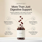 Debloat Gummies – Fast Bloating Relief for Women, Apple Cider Vinegar + Dandelion Root + Green Tea- Digestive Support, Less Gas, Reduce Water Retention-Vegan Non-GMO – 60 Gummies