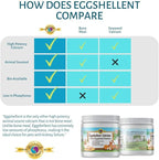 Calcium for Dogs and Cats - Fine Eggshell Powder - Strong Hip & Joint Supplement for Dogs and Cats- Dietary Supplement - No Additives - Pet's Friend Eggshellent Calcium 16oz