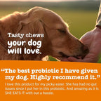 Zesty Paws Vet Strength Probiotics for Dogs, Digestive Health & Gut Flora Support, Dog Supplements, 90 Count