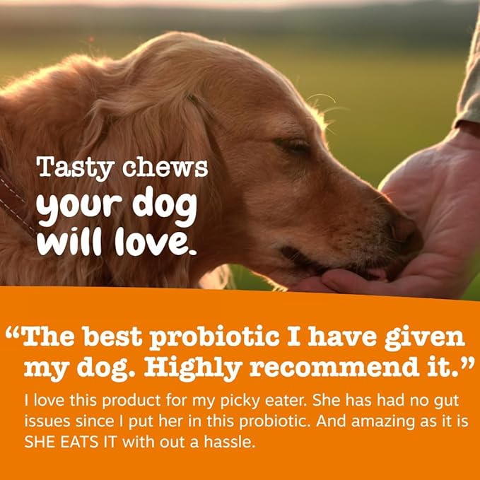 Zesty Paws Probiotics for Dogs, Digestive Enzymes Gut Flora, Digestive Health, Diarrhea & Bowel Support, DE111, Dog Probiotics Soft Chew for Pet Immune System, Chicken, 50 Ct