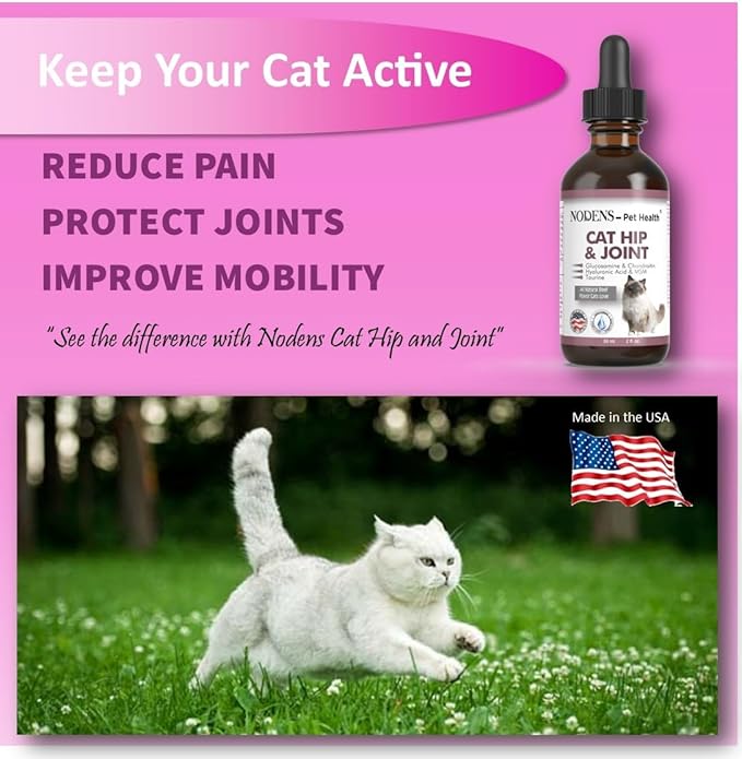 NODENS Cat Hip and Joint Liquid Glucosamine for Cats with Chondroitin – All Natural Cat Joint Supplement for Senior Cats Pain Relief Anti-inflammatory for Improved Joint Flexibility & Mobility 2oz