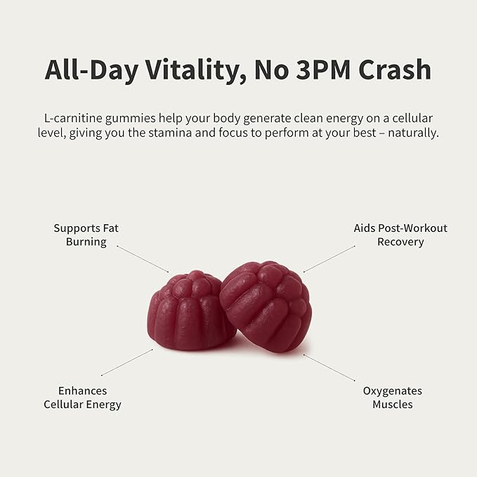 Snap Supplements L-Carnitine Tartrate Sugar Free Gummies 500mg, Amino Acid Supplement for Healthy Exercise Recovery, Metabolism, & Energy*, 60 Vegan Gummies, Blueberry (30 Day Supply)