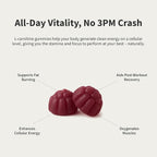 Snap Supplements L-Carnitine Tartrate Sugar Free Gummies 500mg, Amino Acid Supplement for Healthy Exercise Recovery, Metabolism, & Energy*, 60 Vegan Gummies, Blueberry (30 Day Supply)