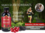 Immunia Urinary Health. Cranberry & Elderberry Concentrate for the Prevention of Urinary Infections. Natural. Delicious. 5 ml/Day. (1-Pack)