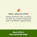 OLLY Big 10 Probiotic, Supports a Healthy Gut Microbiome,* 10 Billion CFUs, 30 Day Supply - 30 Count