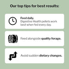 Formula 707 Digestive Health Equine Supplement, 4lb Bag – Probiotics, Prebiotics and Digestive Enzymes for Horses