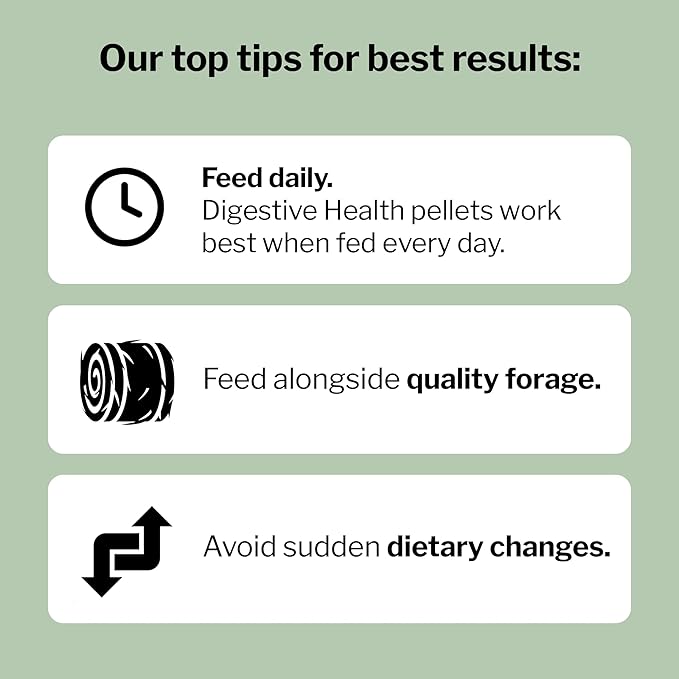 Formula 707 Digestive Health Equine Supplement, 8lb Bag – Probiotics, Prebiotics and Digestive Enzymes for Horses