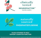 NEURIVA Plus Decaff 50ct Strawberry Gummy (2 Pack) Nootropic Brain Supplement for Memory, Focus & Concentration & Cognitive Function, Clinically Tested NeuroFactor, Phosphatidylserine, Vitamins B6 B12
