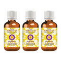 Deve Herbes Pure Safflower Oil (Carthamus tinctorius) Cold Pressed (Pack of Three)100ml X 3 (10 oz)