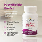Nordic Naturals Vegetarian Prenatal Multivitamin Minis - 90 Easy to Swallow Tablets - Highly Absorbable Multivitamin and Mineral Supplement to Support Pregnancy - Non-GMO, 30 Servings