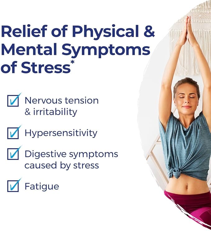Boiron StressCalm On The Go for Relief of Stress, Anxiousness, Nervousness, Irritability, and Fatigue - 80 Count, (Pack of 4)