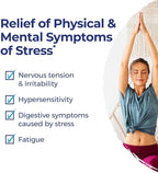 Boiron StressCalm On The Go for Relief of Stress, Anxiousness, Nervousness, Irritability, and Fatigue - 80 Count, (Pack of 4)