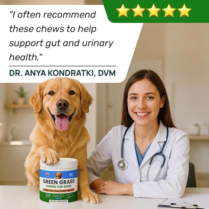 PAWFECTCHEW Dog Pee Grass Chews - Grass Treatment for Pet Urine - Neutralizer for Green Grass Burn Urine Spots - Green Lawn Chews for Dogs with Probiotics - Made in USA (120Ct)