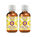 Deve Herbes Pure Cotton Seed Oil (Gossypium spp) Cold Pressed 100ml X 2 (6.76 oz)