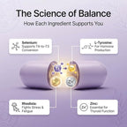 BOND Thyroid Complex, Thyroid Support Supplement for Women & Men, Selenium 200mcg, L-Tyrosine 500mg, Natural Energy & Metabolism Booster with Zinc & Rhodiola Extract, Iodine Free - 60 Capsules (2/day)