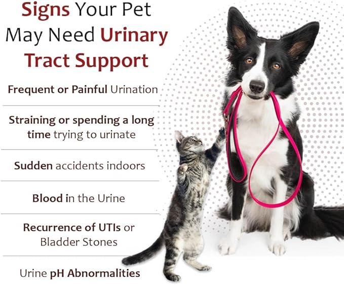 K-Plus Potassium Gluconate Renal Gel Plus Cranberry and EPA for Dogs and Cats - Veterinarian Approved Renal Supplement - Supports Potassium Balance - (6 Pack, Gel)