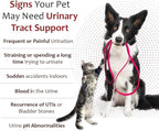 K-Plus Potassium Gluconate Renal Gel Plus Cranberry and EPA for Dogs and Cats - Veterinarian Approved Renal Supplement - Supports Potassium Balance -(2 Pack)