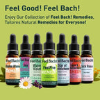 Feel Bach! Get Hope Back Remedy - Natural Homeopathic Flower Essences for Reclaim Life From Deep Despair - Renew & Overcome the Darkness Vegan, Gluten & Sugar-Free, Non-Habit Forming, 20ml (0.7 fl oz)