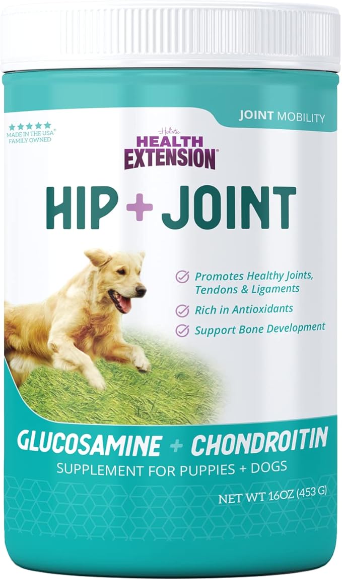 Health Extension Chondroitin with Glucosamine for Dogs, 16oz - Arthritis Pain Relief, Joint & Hip Supplement, Cheese Flavored Powder
