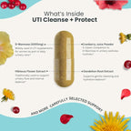 UTI Cleanse + Protect (3 Pack) Urinary Tract Support with D-Mannose, Cranberry, Hibiscus & Dandelion | Advanced Formula, Dietary Supplement - Non-GMO, Made in USA, GMP Certified