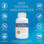 Holistic Health Labs Gut Alive - All Natural Support to Fight IBS, Heartburn, Acid Indigestion, Acid Reflux, Bloating & Gas. Unique Formulation (60 Count (Pack of 3))