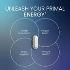 Men's Energy & Immune Complex, Energy Production, Fatigue Relief, Stress Support, Immune Health, Non-GMO, Made in USA, 90 Servings