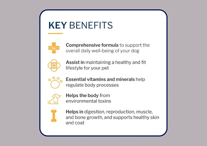 to The Rescue Dog Multivitamin Supplement - Ideal Supplement to Promote Overall Wellness for Dogs of All Breads and Ages - Assist in Maintaining a Healthy and Fit Lifestyle for Your Dog - 60 Chews