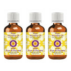 dève herbes Pure Psoralea Oil (Psoralea corylifolia) Cold Pressed (Pack of Three) 100ml X 3 (10 oz)