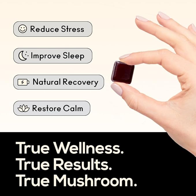 TrueMushroom - Sleep Support Mushroom Gummy Supplement with Melatonin for Sleep and Relaxation with Lion’s Mane, Cordyceps, Reishi, Shiitake. All-Natural, BlackBerry Flavor Gummies (60 Count)
