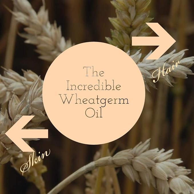 dève herbes Pure Wheatgerm Oil (Triticum vulgare) Cold Pressed (Pack of five) 100ml X 5 (16.9 oz)