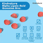 kindnature Alpha Lipoic Acid Gummies 600mg – Neuropathy Supplements – ALA for Nerve Comfort & Antioxidant Support – Sugar-Free, Vegan, Non-GMO – 90 Gummies