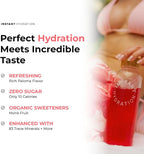 Instant Hydration Electrolytes Powder Packets - Raspberry Electrolyte Drink Mix - Zero Sugar - Keto, Vegan, Gluten-Free, Non-GMO - Boost Recovery, Brain Health, Muscle & Tissue Support- 30 Sticks