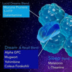 Lucid Dreams Deep Sleep - Mugwort Herb 5 htp Mucuna Pruriens Choline Supplements - Gummies Sugar Free Vegan 60 ct