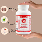 Uribiotic Formula [72 Capsules] Since 2003 – Advanced Support for Urinary Bladder, Prostate & Kidney Health | Dietary Supplement | 60 Quality Ingredients