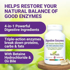 Digestive Enzymes with Ox Bile and Betaine HCl (100 Caps) Ox Bile Supplements for No Gallbladder with Papain & Pepsin A | Pancrease Cleanse & Detox - Pancreatin Digestion Enzymes for Women & Men
