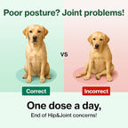 Doctor.By Hip&Joint Swift for Dogs - Advanced Joint & Cartilage Support Supplement with Green-Lipped Mussel Oil, Eggshell Membrane 120 Soft Gels