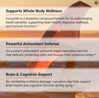 Naturalis NovaSOL Turmeric Curcumin (5,550mg Curcuminoids Equivalent Per Serving) - Clinical Proven with 185X Better Absorption | Antioxidant Support for Brain, Joint & Immune Health* | 30 Servings
