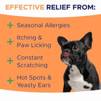 Dog Allergy Relief Chews — Anti-Itch Skin & Coat Supplement: No Fillers, Just Flavor - Itchy Skin Relief Treatment w/Omega 3 Fish Oil - Itching&Paw Licking - Dry Skin&Hot Spots - BBQ Chicken
