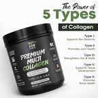 Multi Collagen Peptides Powder Unflavored - 5 Types Multi Collagen Complex (I, II, III, V, X) - Grass Fed Hydrolyzed Powder Collagen for Hair, Skin, Nails, Joints & Gut Health - 30 Servings
