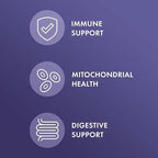 Dr. Mercola Full Spectrum Enzymes - 22 Different Enzymes - Supports Digestive & Immune Health - Helps Digest Carbohydrates, Fats & Proteins - Non-GMO, Gluten-Free & Soy-Free - 90 Capsules