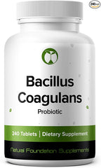 Natural Foundation Supplements Bacillus Coagulans Probiotic Supplement 240 Tablets 3 Billion CFU Probiotics for Men & Women Supports Intestinal Digestive & Gut Health (240, Bacillus Coagulans)