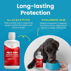 Paramount Pet Health Liquid Glucosamine for Dogs, 1600 mg Glucosamine for Dogs Hip & Joint Supplement, Ideal for Mobility & Comfort, Easy-to-Use Liquid MSM, Chondroitin, Made in USA, 32 oz